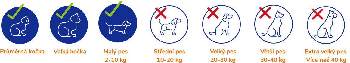 Small-dog-large-cats-AG